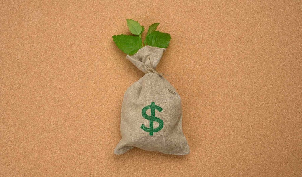 bolsa-simbolo-pesos-lanamovil