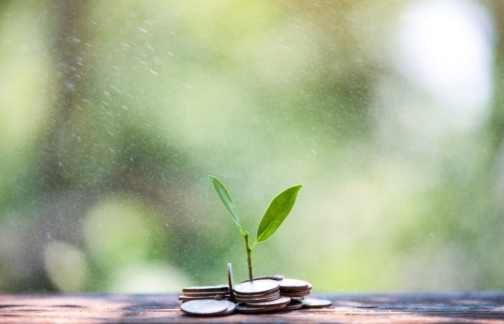 arbolito con monedas